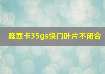 雅西卡35gs快门叶片不闭合