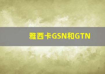 雅西卡GSN和GTN