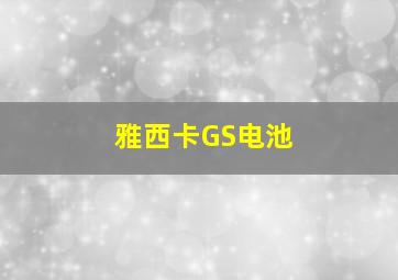 雅西卡GS电池