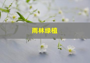 雨林绿植