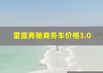 雷霆奔驰商务车价格3.0