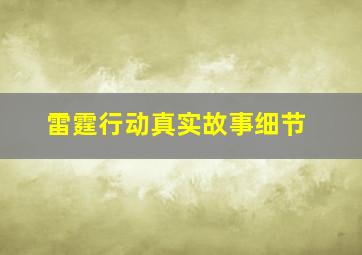 雷霆行动真实故事细节