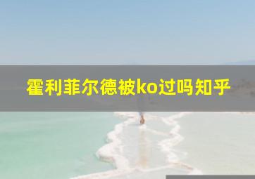 霍利菲尔德被ko过吗知乎