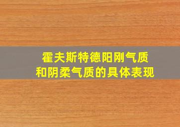 霍夫斯特德阳刚气质和阴柔气质的具体表现