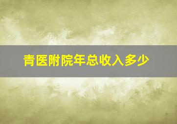 青医附院年总收入多少