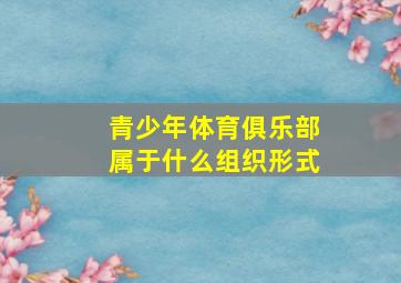 青少年体育俱乐部属于什么组织形式