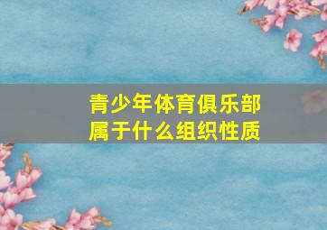 青少年体育俱乐部属于什么组织性质