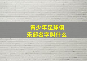 青少年足球俱乐部名字叫什么