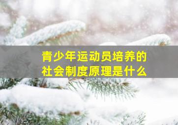 青少年运动员培养的社会制度原理是什么