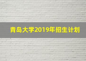 青岛大学2019年招生计划