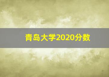 青岛大学2020分数