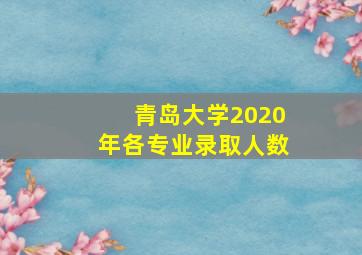 青岛大学2020年各专业录取人数