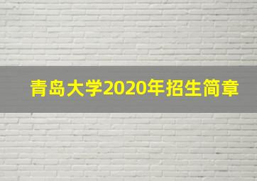 青岛大学2020年招生简章