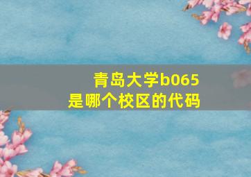 青岛大学b065是哪个校区的代码