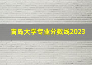 青岛大学专业分数线2023