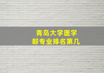 青岛大学医学部专业排名第几