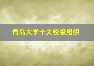 青岛大学十大校级组织