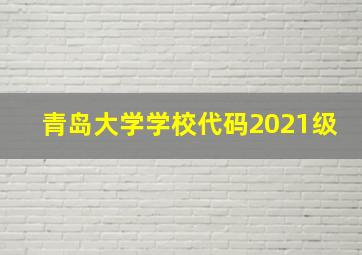 青岛大学学校代码2021级