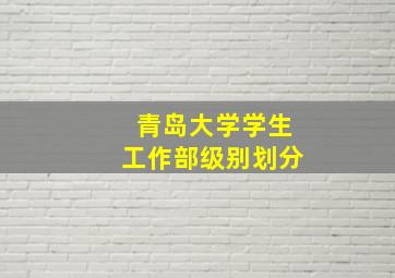 青岛大学学生工作部级别划分