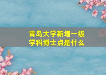 青岛大学新增一级学科博士点是什么