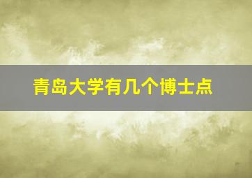 青岛大学有几个博士点