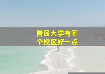 青岛大学有哪个校区好一点