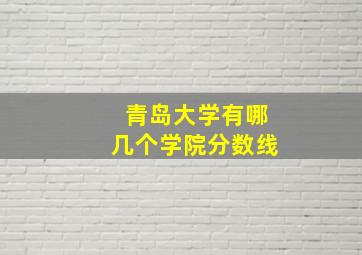 青岛大学有哪几个学院分数线