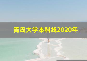 青岛大学本科线2020年