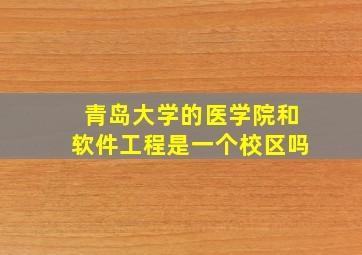 青岛大学的医学院和软件工程是一个校区吗