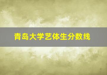 青岛大学艺体生分数线