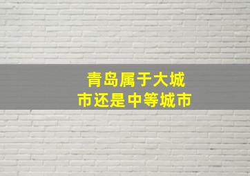 青岛属于大城市还是中等城市