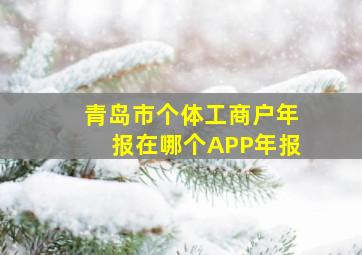 青岛市个体工商户年报在哪个APP年报