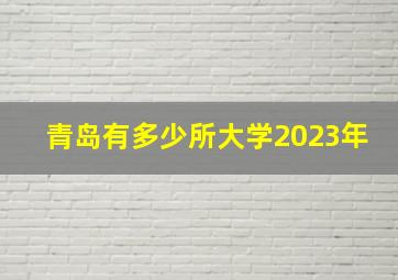 青岛有多少所大学2023年