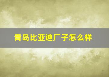 青岛比亚迪厂子怎么样