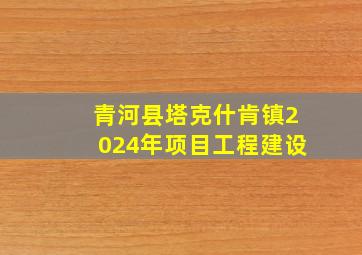 青河县塔克什肯镇2024年项目工程建设