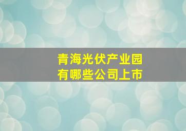 青海光伏产业园有哪些公司上市