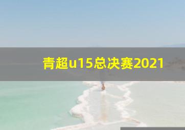 青超u15总决赛2021