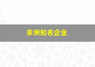 非洲知名企业