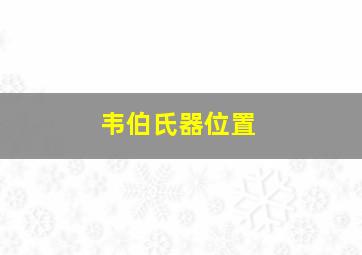 韦伯氏器位置