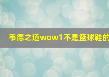 韦德之道wow1不是篮球鞋的