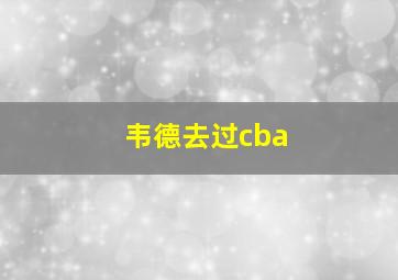 韦德去过cba