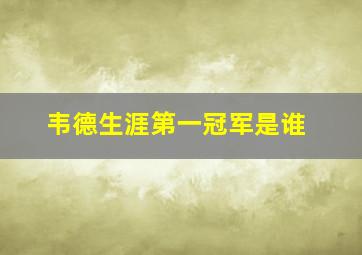 韦德生涯第一冠军是谁