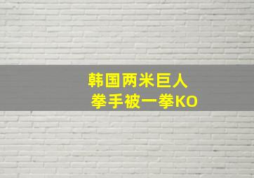 韩国两米巨人拳手被一拳KO