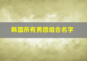 韩国所有男团组合名字