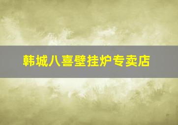 韩城八喜壁挂炉专卖店