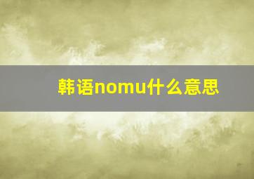 韩语nomu什么意思