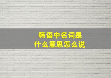 韩语中名词是什么意思怎么说