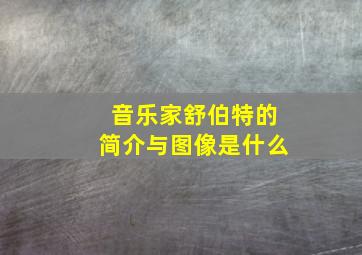 音乐家舒伯特的简介与图像是什么