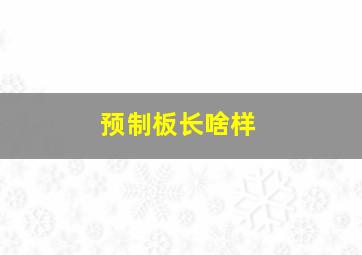 预制板长啥样