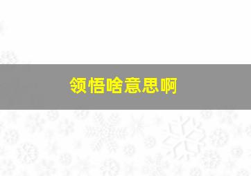 领悟啥意思啊